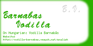 barnabas vodilla business card